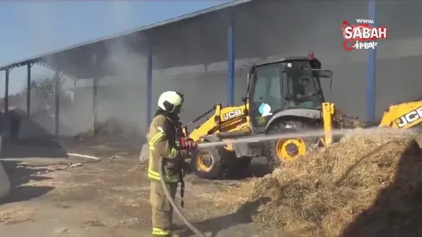 Hayvan çiftliğindeki saman yangını korkuttu | Video