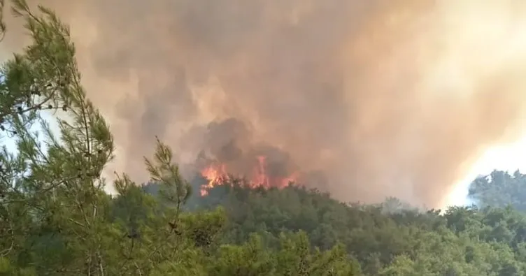 Adana’nın iki ilçesinde orman yangını çıktı