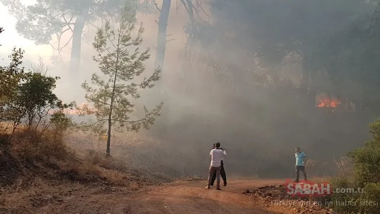 Antalya Kumluca’da orman yangını çıktı! Bakan Pakdemirli: Bu yıl 2 bini geçti...
