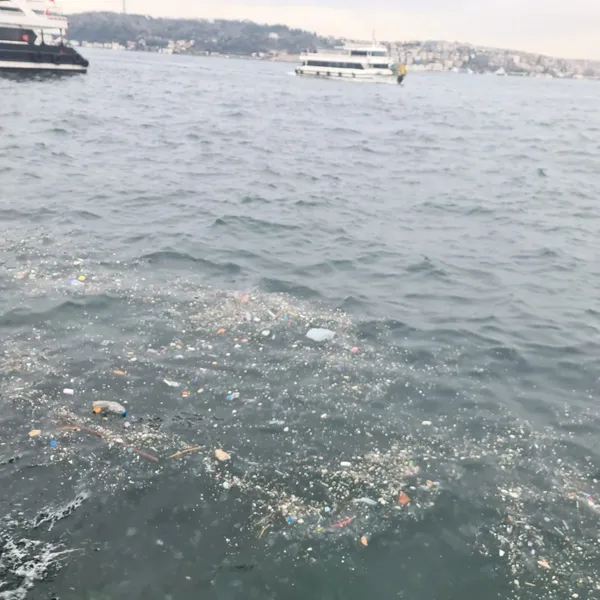 istanbul-bogazinin-besiktas-kiyilari-pislik-ve-cop-icinde-1770211152154.jpg