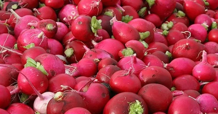 Turpun sağlığa faydaları nelerdir? İşte turp yararları!