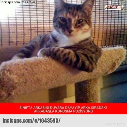 gulme garantili caps ler son