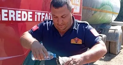 İtfaiye erinden kaplumbağaya can suyu #bolu