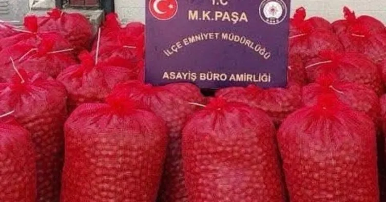 Bir ton ceviz çalan hırsızlar yakalandı