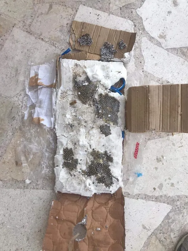 son-dakika-bakan-soylu-duyurdu-10-kg-patlamaya-hazir-bomba-yakalandi-1659815171805.jpg