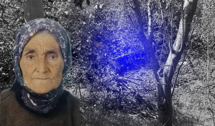 Zonguldak’ta kan donduran olay: Yaşlı kadını domuz zannederek öldürdü!