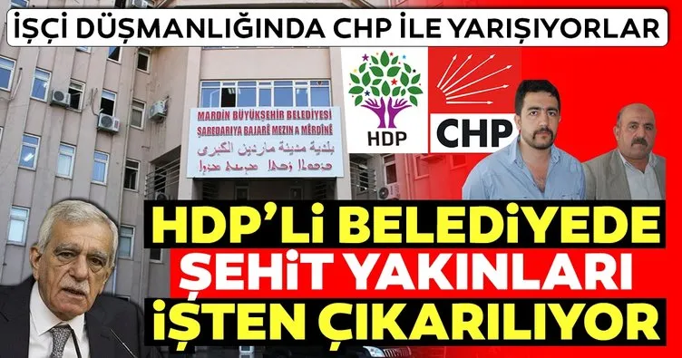 HDP’li Mardin Büyükşehir Belediyesi’nde bir şehit yakını daha işten çıkarıldı