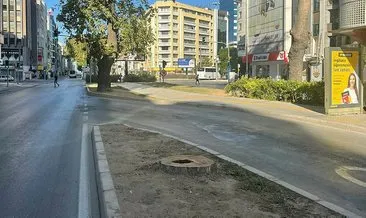 CHP’li İzmir Büyükşehir Belediyesi’nde skandal! Asırlık ağaçları acımadan kestiler #izmir