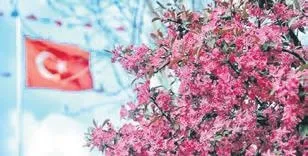 Ülkeme gerçekten bahar geldi – YÜKSEL AYTUĞ