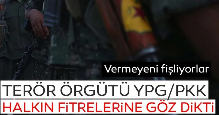 Terör örgütü YPG/PKK halkın fitrelerine göz dikti