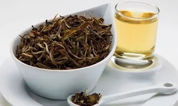 Beyaz çay nedir, faydaları nelerdir? Beyaz çay nasıl demlenir, nerelerde satılır?