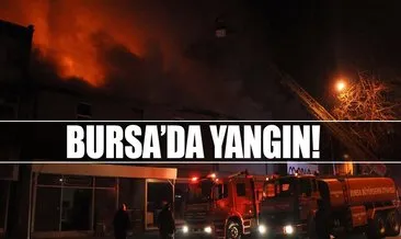 Bursa’da büyük yangın!