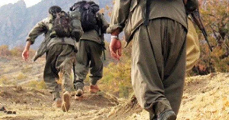 Şemdinli’de 2 PKK’lı öldürüldü