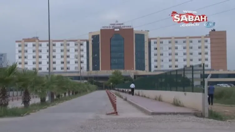 Durakta bekleyen kadını kene ısırdı