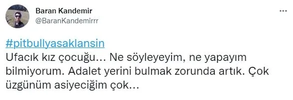 pitbull-dehsetine-sosyal-medyadan-tepki-yagdi-artik-pitbull-kurbani-vermek-istemiyoruz-1640345056270.jpg