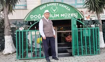 İstanbul’da sıra dışı müze: 51 yıldır ölü hayvanları yaşatıyor