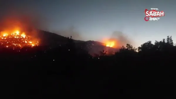 Siirt’te ormanlık alanda çıkan yangın saatler sonra kontrol altına alındı | Video