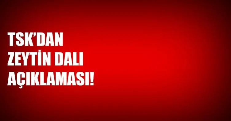 TSK'dan son dakika 'Zeytin Dalı Harekatı' açıklaması