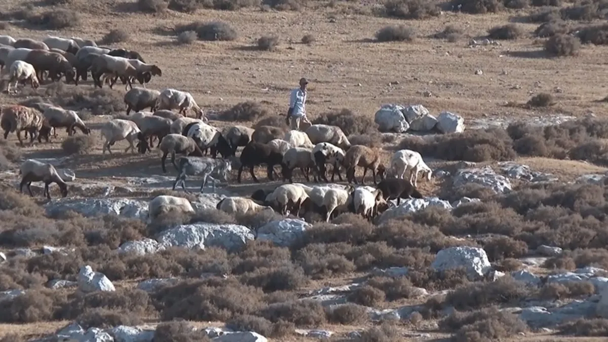 İsrail’in saldırıları Batı Şeria’da yeni göçe yol açtı! 7 Filistinli aile daha göç etti İsrail’in saldırıları Batı Şeria’da yeni göçe yol açtı! 7 Filistinli aile daha göç etti