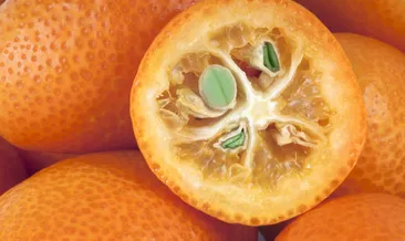 Akciğer kanserinden koruduğu kanıtlandı!