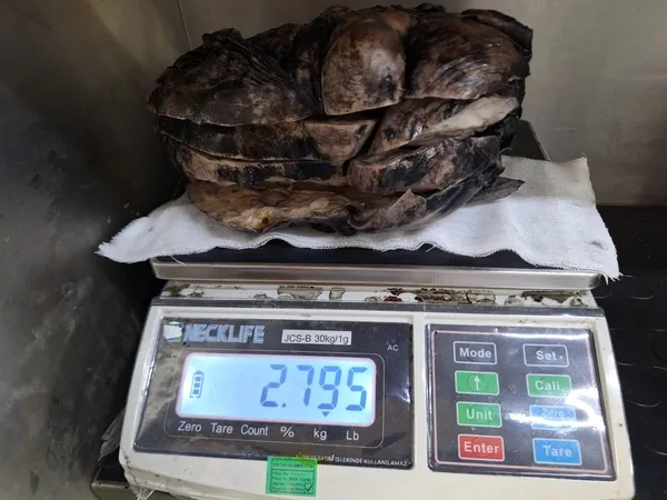 gogus-kafesinden-2-kilo-750-gram-tumor-cikarildi-1759952129431.jpg