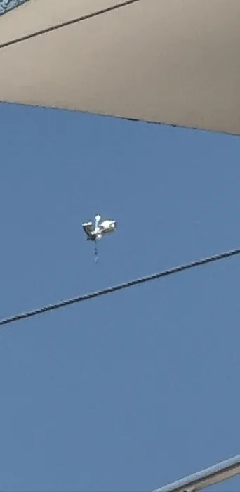 Görüntüler Türkiye’den… Gökyüzünde UFO paniği: Görenler telefona sarıldı!