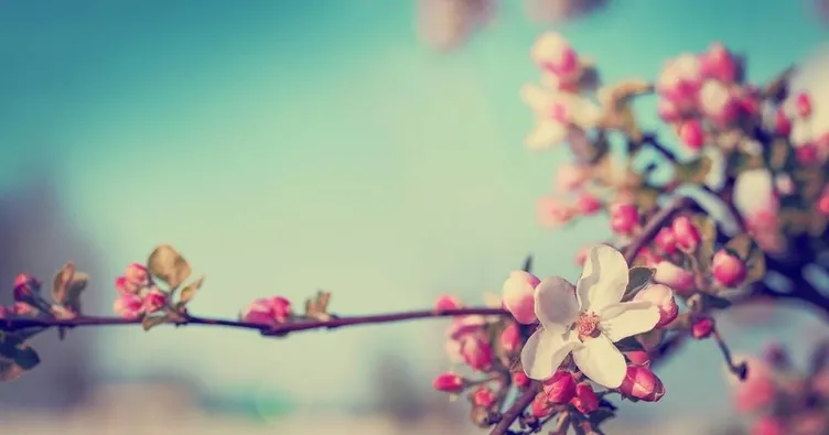 cemre tarihleri ile 2021 havaya suya