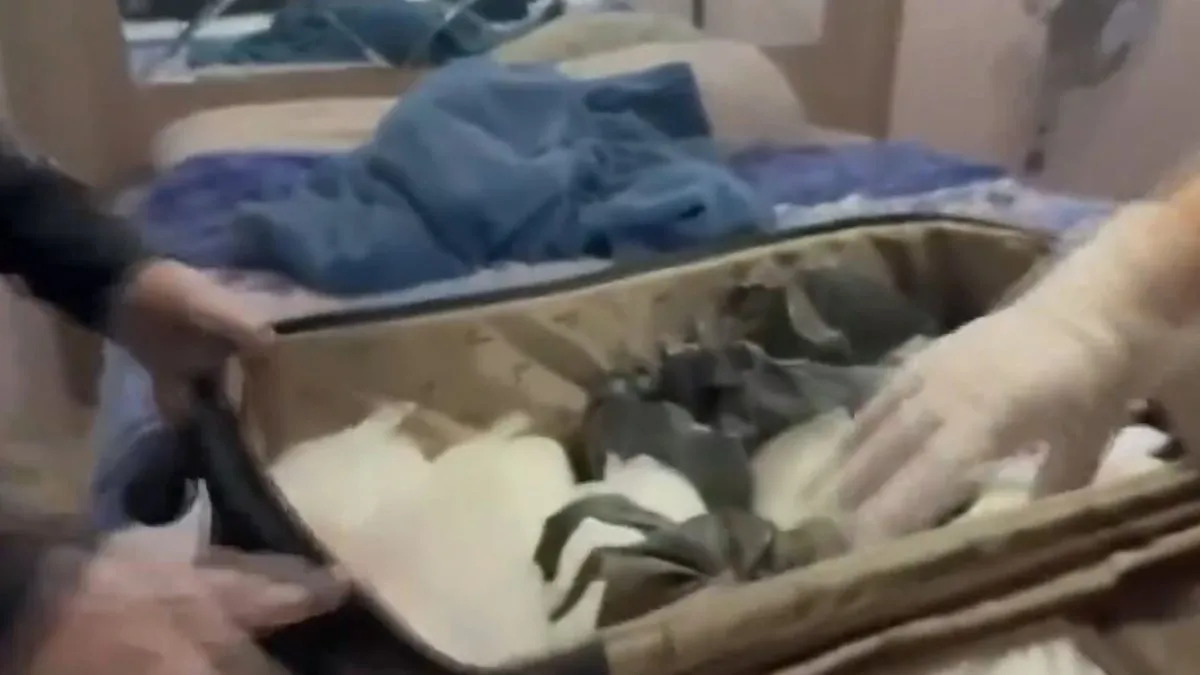 SON DAKİKA | İstanbul’da zehir tacirlerine darbe: 480 kilo uyuşturucu madde ele geçirildi