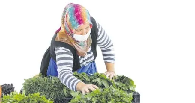 Ureticiden Tuketiciye Dogrudan Satis Ankara Baskent Haberleri