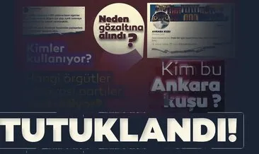 Ankara Kuşu hesabının yöneticisi Oktay Yaşar ‘FETÖ propagandası suçundan tutuklandı