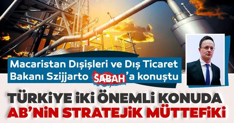 Enerji kaynaklarını çeşitlendirmede Türkiye’nin rolü kritik