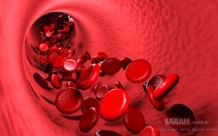 Damarları saatler içinde kristal gibi parlatıyor! Tükettiğiniz anda etki ediyor, kolesterol düşmanı besin