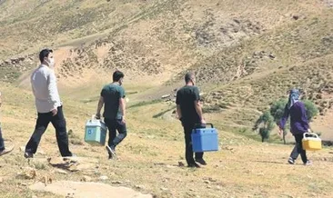 Yaylada aşı heyecanı