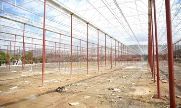 Alanya’da ilk ve tek olacak.. Tropikal Meyve Tanıtım Merkezi hayata geçiyor