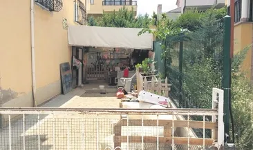 Böyle hayvan sevgisi olmaz