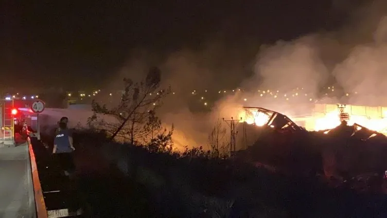 Son dakika! Hatay'daki yangında son durum! Bakan Pakdemirli'den yangında sabotaj iddialarına açıklama