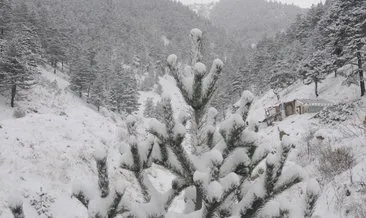 Doğu Karadeniz Bölgesi beyaza büründü