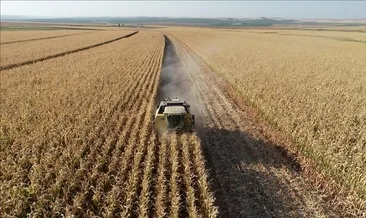 Tarım ÜFE temmuzda aylık bazda azaldı