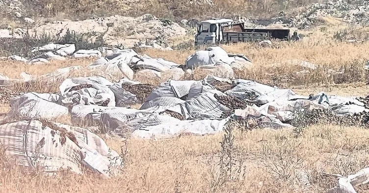 Tonlarca atık kirliliğe yol açtı