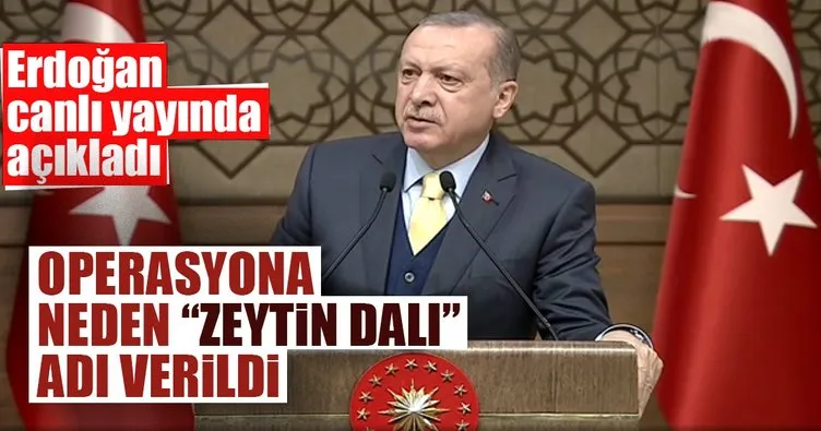 Operasyona neden Zeytin Dalı adı verildi? Cumhurbaşkanı Erdoğan açıkladı...