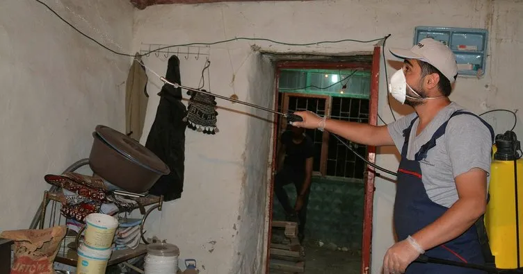 Hakkari’deki bir evde 10 yılan bulundu... Belediye ekipleri evi ilaçladı