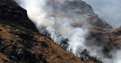 Gümüşhane’de 2 hektarlık alan örtü yangını sonucu küle döndü