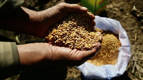 bakan-yumaklidan-ata-tohumu-mujdesi-gelecek-gunlerde-tarim-kredi-marketlerde-satisi-baslayacak-1736850506288.jpg