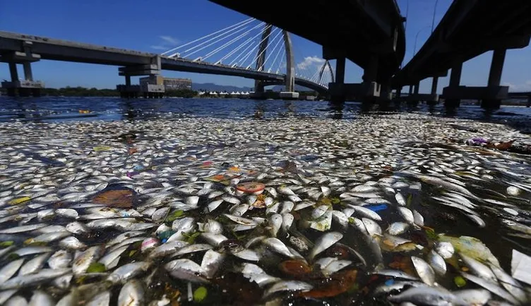 16 bin bilim insanından çevre felaketi uyarısı