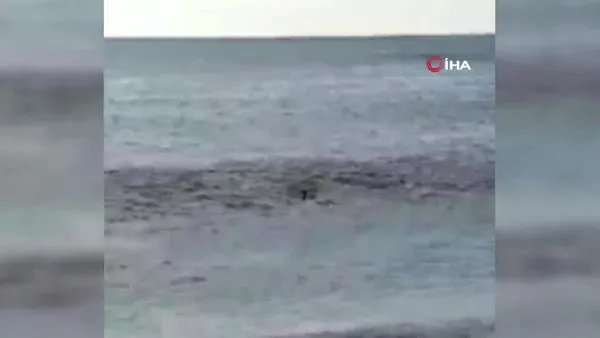 Rize'de 55 yaşındaki adamın boğulma anı kamerada