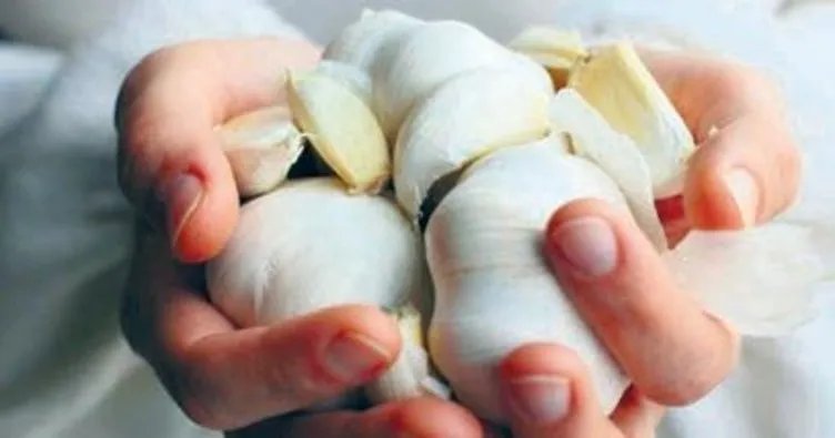 Sarımsak tüketmek ömrü uzatıyor