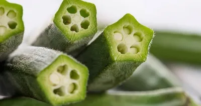 ’Yeşil altın’ olarak biliniyor! Boyutu büyüdükçe fiyatı azalıyor... Gelir kapısı haline geldi