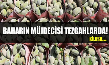 Baharın müjdecisi çağla tezgahlarda!