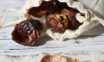 Görünüşüne aldanmayın: Bu meyve yenmiyor