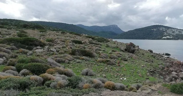 ‘Cennet Koyu’nda sit alanı korunacak’